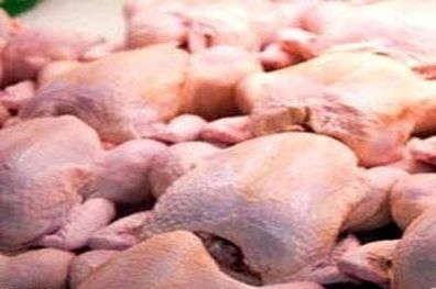 روسیه واردات مرغ از اروپا را ممنوع کرد