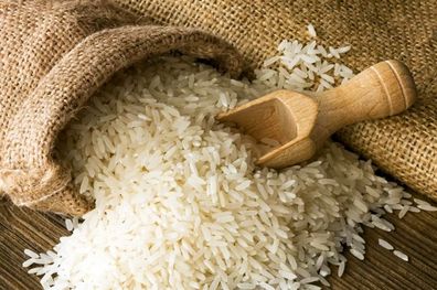 هفدهمین همایش ملی برنج کشور در ساری گشایش یافت